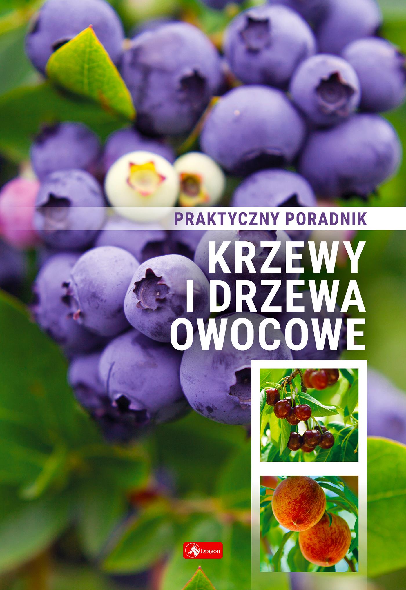 Krzewy I Drzewa Owocowe Poradnik Praktyczny Opracowanie Zbiorowe