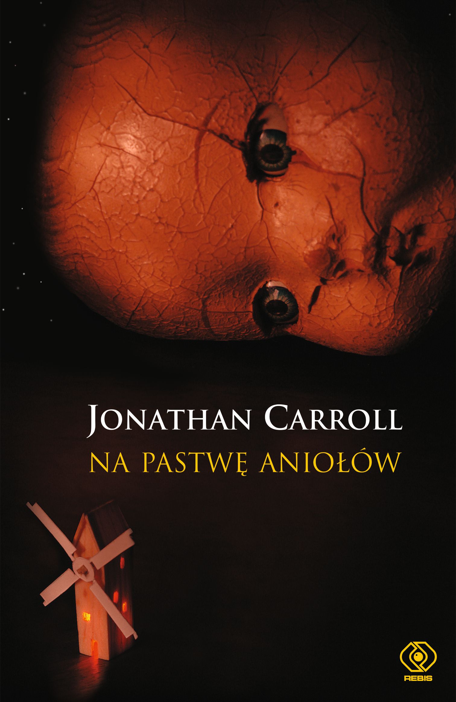 Слушать книгу операция саламандра. Джонатан Кэрролл. Джонатан Кэрролл все книги. Деревянное море Джонатан Кэрролл. Джонатан Кэрролл - дитя в небе.