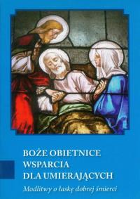 Boże obietnice wsparcia dla umierających. Wydawca: AA. Dobreksiazki.pl Opakowanie Boże obietnice wsparcia dla umierających