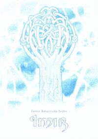 Imir. Autor: Bałuszyńska-Srebro Dorota. Dobreksiazki.pl Okładka książki Imir