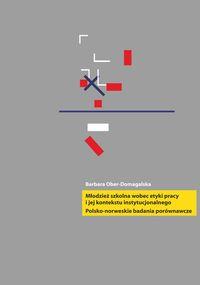 Młodzież szkolna wobec etyki pracy i jej kontekstu instytucjonalnego. Autor: Ober-Domagalska Barbara. Dobreksiazki.pl Okładka książki Młodzież szkolna wobec etyki pracy i jej kontekstu instytucjonalnego