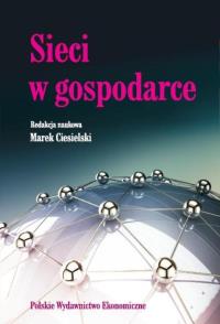 Sieci w gospodarce. Autor: Opracowanie zbiorowe. Dobreksiazki.pl Okładka książki Sieci w gospodarce