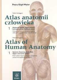 Atlas anatomii człowieka t.1 i 2 Indeksy. Autor: Petra Kopf-Maier. Dobreksiazki.pl Okładka książki Atlas anatomii człowieka t.1 i 2 Indeksy