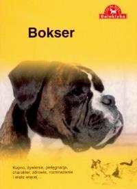 Bokser. Autor: Over Dieren. Dobreksiazki.pl Okładka książki Bokser
