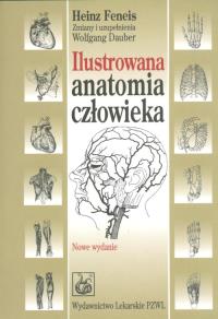 Ilustrowana anatomia człowieka. Autor: Feneis Heinz. Dobreksiazki.pl Okładka książki Ilustrowana anatomia człowieka