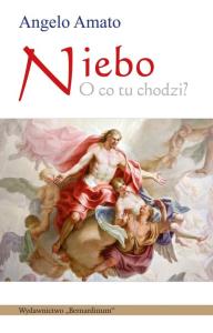 Niebo O co tu chodzi?. Autor: Amato Angelo. Dobreksiazki.pl Okładka książki Niebo O co tu chodzi?
