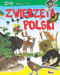 Zwierzęta Polski - 210 naklejek. Autor: Dzwonkowski Robert Jacek. Dobreksiazki.pl Okładka książki Zwierzęta Polski - 210 naklejek