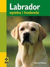 Labrador Opieka i hodowla. Autor: Sasias Gerard. Dobreksiazki.pl Okładka książki Labrador Opieka i hodowla