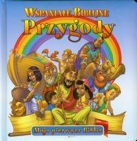 Wspaniałe biblijne przygody WDS. Autor: Matsuoka Yoko. Dobreksiazki.pl Okładka książki Wspaniałe biblijne przygody WDS