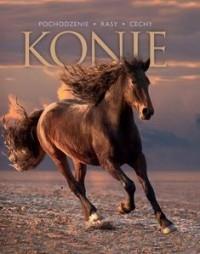 Konie. Pochodzenie, rasy, cechy. Autor: Opracowanie zbiorowe. Dobreksiazki.pl Okładka książki Konie. Pochodzenie, rasy, cechy
