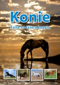 Konie Suita na cztery kopyta. Autor: Jolanta Reisch. Dobreksiazki.pl Okładka książki Konie Suita na cztery kopyta