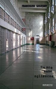 Okładka książki Za mną same zgliszcza