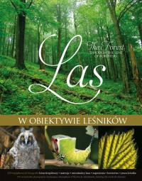 Las w obiektywie leśników. Autor: Opracowanie zbiorowe. Dobreksiazki.pl Okładka książki Las w obiektywie leśników