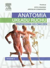 Anatomia układu ruchu Przewodnik do ćwiczeń. Autor: Z. Ignasiak. Dobreksiazki.pl Okładka książki Anatomia układu ruchu Przewodnik do ćwiczeń