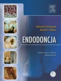 Endodoncja z płytą DVD. Autor: Torabinejad Mahmoud, Walton Richard E.. Dobreksiazki.pl Okładka książki Endodoncja z płytą DVD