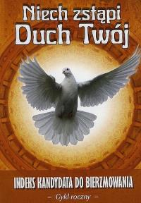 Niech zstąpi Duch Twój cykl roczny. Autor: Praca zbiorowa. Dobreksiazki.pl Okładka książki Niech zstąpi Duch Twój cykl roczny