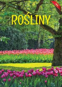 Encyklopedia Fakty Rośliny. Autor: Opracowanie zbiorowe. Dobreksiazki.pl Okładka książki Encyklopedia Fakty Rośliny