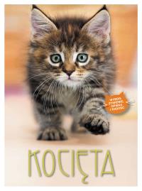 Kocięta. Autor: Stockfleth Bettina. Dobreksiazki.pl Okładka książki Kocięta