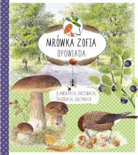 Mrówka Zofia opowiada o kwiatach, drzewach... Autor: Casta Stefan. Dobreksiazki.pl Okładka książki Mrówka Zofia opowiada o kwiatach, drzewach..