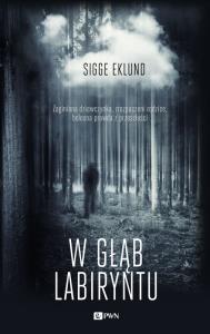 W głąb labiryntu. Autor: Eklund Sigge. Dobreksiazki.pl Okładka książki W głąb labiryntu
