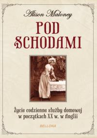 Życie pod schodami. Autor: Alison Maloney. Dobreksiazki.pl Okładka książki Życie pod schodami