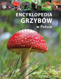 Encyklopedia grzybów w Polsce. Autor: OPRACOWANIE ZBIOROWE. Dobreksiazki.pl Okładka książki Encyklopedia grzybów w Polsce