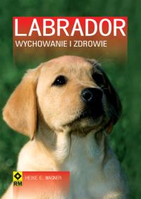 Labrador. Autor: Wagner Heike E.. Dobreksiazki.pl Okładka książki Labrador