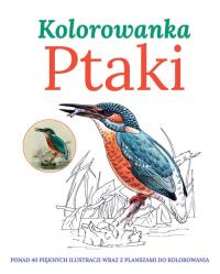 Ptaki Kolorowanka. Autor: Opracowanie zbiorowe. Dobreksiazki.pl Okładka książki Ptaki Kolorowanka