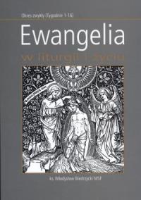 Ewangelia w liturgii i życiu. Autor: Biedrzycki Władysław. Dobreksiazki.pl Okładka książki Ewangelia w liturgii i życiu