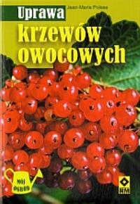 Uprawa krzewów owocowych RM. Autor: Polese Jean-Marie. Dobreksiazki.pl Okładka książki Uprawa krzewów owocowych RM