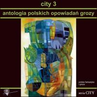 City 3. Antologia polskich opowiadań grozy. Autor: Praca zbiorowa. Dobreksiazki.pl Okładka książki City 3. Antologia polskich opowiadań grozy