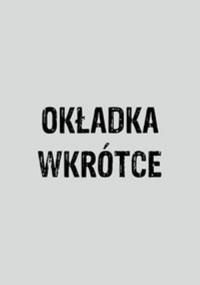 Okładka książki Excel 2016 VBA i makra