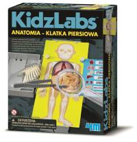 3373 ANATOMIA - KLATKA PIERSIOWA. Autor: M113.3373. Dobreksiazki.pl Okładka książki 3373 ANATOMIA - KLATKA PIERSIOWA
