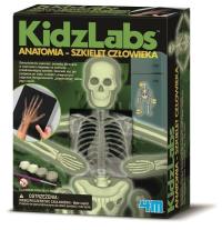 Anatomia Szkielet człowieka. Autor: M115.3375. Dobreksiazki.pl Okładka książki Anatomia Szkielet człowieka