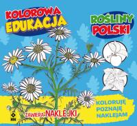 Kolorowa edukacja Rośliny Polski - naklejka. Autor: Michał Kryciński, Krystyna Jędrzejewska-Szmek. Dobreksiazki.pl Okładka książki Kolorowa edukacja Rośliny Polski - naklejka