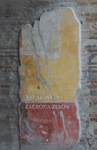 Zagroda zębów. Autor: Wit Szostak. Dobreksiazki.pl Okładka książki Zagroda zębów