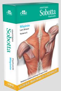 Okładka książki Anatomia Sobotta Flashcards Mięśnie Łacińskie mianownictwo anatomiczne