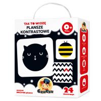 CzuCzu Tak to widzę Plansze kontrastowe 0+. Autor: Opracowanie zbiorowe. Dobreksiazki.pl Okładka książki CzuCzu Tak to widzę Plansze kontrastowe 0+
