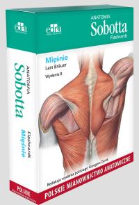 Anatomia Sobotta Flashcards. Mięśnie. Polskie mianownictwo anatomiczne. Autor: Bräuer L.. Dobreksiazki.pl Okładka książki Anatomia Sobotta Flashcards. Mięśnie. Polskie mianownictwo anatomiczne