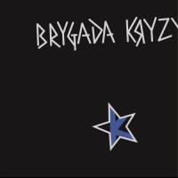 Brygada Kryzys. Wydawca: MTJ. Dobreksiazki.pl Opakowanie Brygada Kryzys