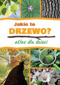 Jakie to drzewo? Atlas dla dzieci. Autor: Harlewicz Aleksandra. Dobreksiazki.pl Okładka książki Jakie to drzewo? Atlas dla dzieci