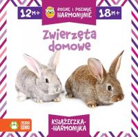 Rosnę i poznaję harmonijnie. Zwierzęta domowe. Autor: Opracowanie zbiorowe. Dobreksiazki.pl Okładka książki Rosnę i poznaję harmonijnie. Zwierzęta domowe