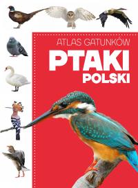Atlas gatunków. Ptaki Polski. Autor: Opracowanie zbiorowe. Dobreksiazki.pl Okładka książki Atlas gatunków. Ptaki Polski