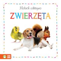 Maluch odkrywa. Zwierzęta. Autor: Opracowanie zbiorowe. Dobreksiazki.pl Okładka książki Maluch odkrywa. Zwierzęta