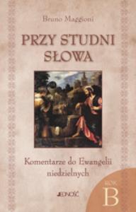 PRZY STUDNI SŁOWA KOMENTARZE DO EWANGELII NIEDZIELNYCH NA ROK B . Autor: ks. Bruno Maggioni. Dobreksiazki.pl Okładka książki PRZY STUDNI SŁOWA KOMENTARZE DO EWANGELII NIEDZIELNYCH NA ROK B