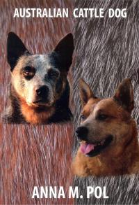 Australian Cattle Dog. Autor: Pol Anna M.. Dobreksiazki.pl Okładka książki Australian Cattle Dog
