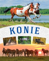 KONIE. Autor: MAŁGORZATA MĄKOSA. Dobreksiazki.pl Okładka książki KONIE