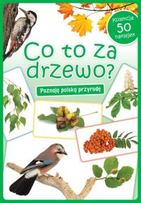Co to za drzewo?. Autor: Opracowanie zbiorowe. Dobreksiazki.pl Okładka książki Co to za drzewo?