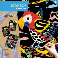 Opakowanie 4 magiczne ptaki