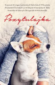 Przytulajka pocket. Autor: Opracowanie zbiorowe. Dobreksiazki.pl Okładka książki Przytulajka pocket